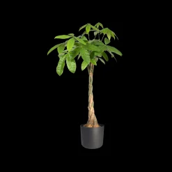 SOFT ROND 16CM ANTRACIET