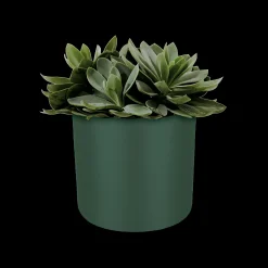 SOFT ROND 18CM BLAD GROEN