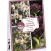 Tas 'a bulb for every garden' met 35 bloembollen dry garden