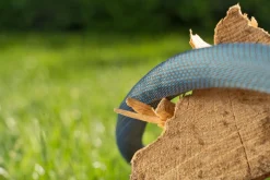 Textielslang Liano Xtreme 15m Set