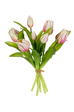 Tulpenbundel creme/roze
