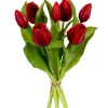 Tulpenbundel donker rood