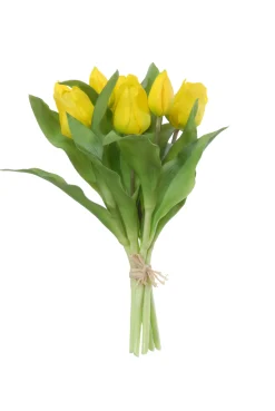 Tulpenbundel geel