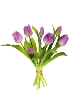 Tulpenbundel lila