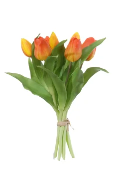 Tulpenbundel oranje