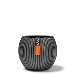 Vaas bol Groove 21x19