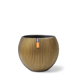 Vaas bol Groove 29x26