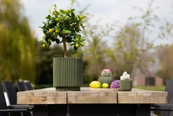 Vaas cilind groove 19x21