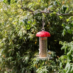 Voedersilo vliegenzwam