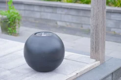 Waterornament Pizarra