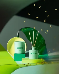 We are kaars re:born