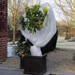 Winterafdekvlies 2x5m wit 30g/m²