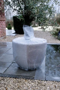 Winternoppenfolie op rol 0,50x5m Ø10mm