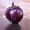 Zaden: aubergine ronde de valence