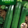 Zaden courgette anissa hf1 3g