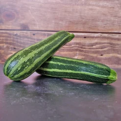 Zaden: courgette verte d'italie