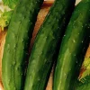 Zaden: komkommer vert long maraicher