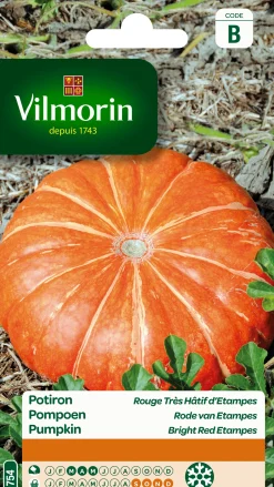 Zaden pompoen rode van etampes5g