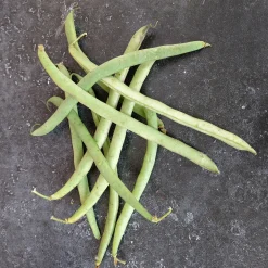 Zaden: stamslaboon (prinsessenboon) koning der belgen