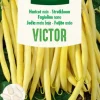 Zaden struikboon victor 100g