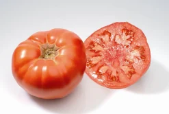 Zaden: tomaat marmande