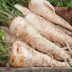 Zaden: wortel-peterselie