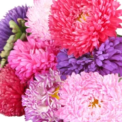 Zaden: zomeraster gemengd